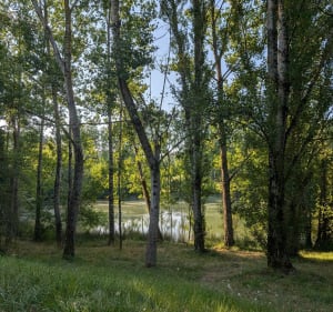 Collines de Faget Abbatial - Faget-Abbatial - 3