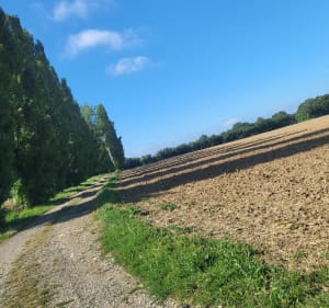 Atour de Saint-Fiacre par Brinches et Villemareuil - Saint-Fiacre - 3