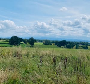 Boucle au départ de Rongères - Rongères - 4