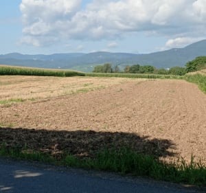Le Ried entre Strasbourg et Sélestat - Illkirch-Graffenstaden - 3