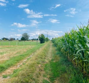 Boucle au départ de Rongères - Rongères - 5