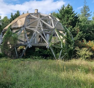 Rando autour du bois de Saint-Julien-du-Sault - Saint-Julien-du-Sault - 4