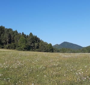 Belcaire - Col du Traouc - Belcaire - 4
