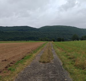 Balade par les Grands Champs depuis le stade le la Chapelle - La Chapelle-en-Vercors - 3