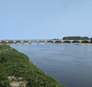 Île de Chalonnes - Chalonnes-sur-Loire - 3