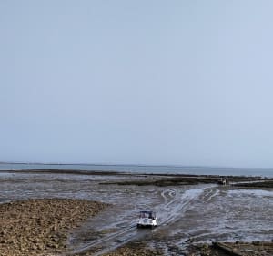 Ré entre vigne et océan - Le Bois-Plage-en-Ré - 4