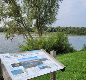 Les marais d'Ecourt St Quentin - Oisy-le-Verger - 3