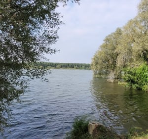 Les marais d'Ecourt St Quentin - Oisy-le-Verger - 5