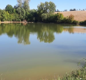 Autour de Giscaro - Giscaro - 3