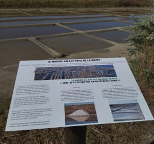 Balade entre Bois Plage et les marais salants de Loix - Le Bois-Plage-en-Ré - 3