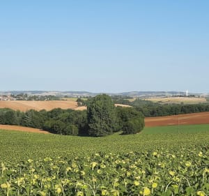 Autour de Giscaro - Giscaro - 4