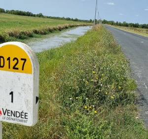 Les Marais Poitevin depuis Triaize - Triaize - 4