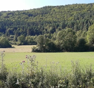 Belcaire - vers pic du Sarrasis - Belcaire - 3