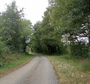 D'Étriché aux bords de Sarthe - Étriché - 3
