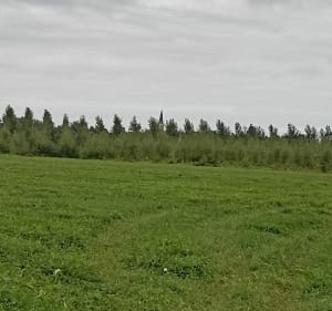 D'Étriché aux bords de Sarthe - Étriché - 4