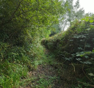 Le moulin du Cotentin et le voyage dans le ruisseau - Fierville-les-Mines - 3