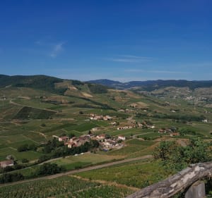 Beaujolais, Trou du loup et Mont Brouilly - Gleize - 3