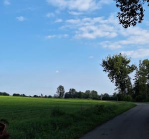 Marche en pleine campagne autour d'Hablainville - Hablainville - 3