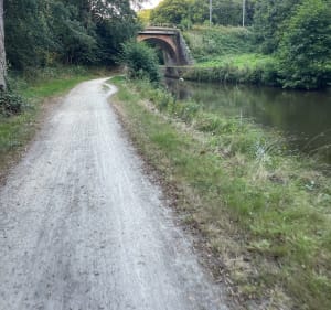 Chemin de halage depuis Montreuil-le-Gast - Montreuil-le-Gast - 4