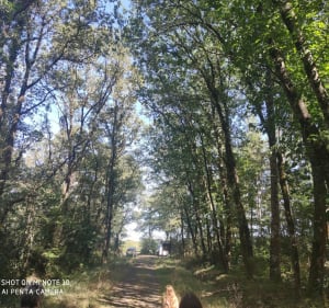 Balade au bois de l'Hospice - Saulgé - 3