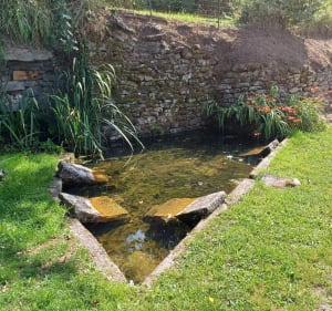 Autour du bois de Crozat - Royère-de-Vassivière - 4