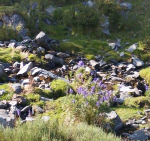 Petit Puigmal de Sègre - Err - 3