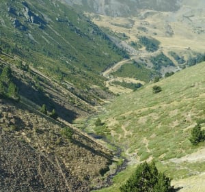 Petit Puigmal de Sègre - Err - 5