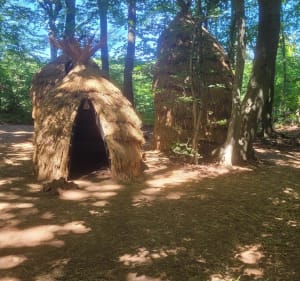 Petite boucle en forêt monumentale de Canteleu - Canteleu - 3