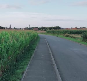 Marche entre Haisnes et Auchy-les-Mines - Haisnes - 3