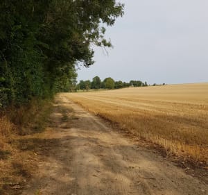 Boucle entre Cully et Secqueville-en-Bessin - Thue et Mue - 3