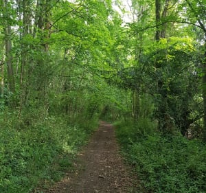 Boucle entre Cully et Secqueville-en-Bessin - Thue et Mue - 4