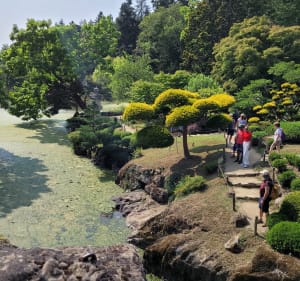 Parc Oriental de Maulévrier - Mireille  - 4