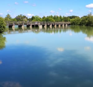 Boucle au départ d'Angers par le Parc André Délibes - Angers - 3