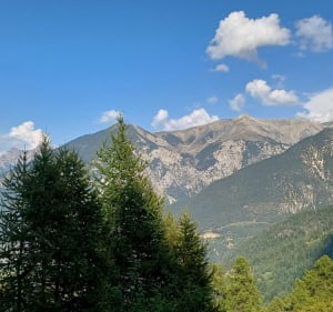 Randonné à travers les bois.  La rando 4 de Risoul - Risoul - 4
