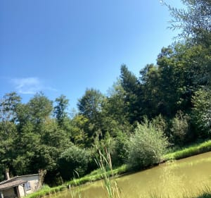 Des étangs à la source de la Suarcine - Suarce - 3