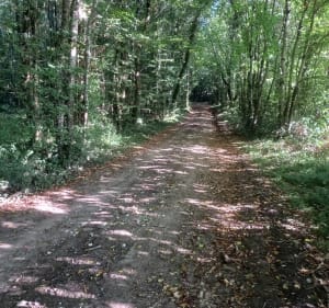 Circuit 11 de Cravans - Cravans - 3