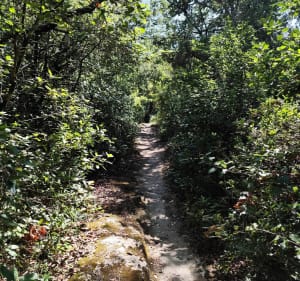 Moulin de Corbières et Carrières de Junas - Junas - 4