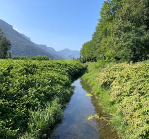 Boucle de Rovon par le pont de Tullins et l'éboulement de la Rivière - Rovon - 3