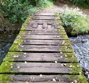Auprès du lac de Lambon - Prailles-La Couarde - 3
