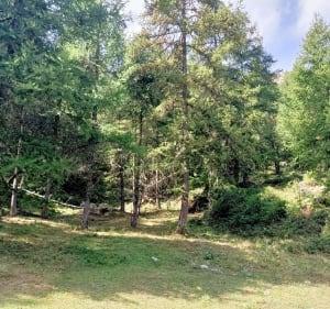 Source de Jérusalem (les Orres) - Les Orres - 5
