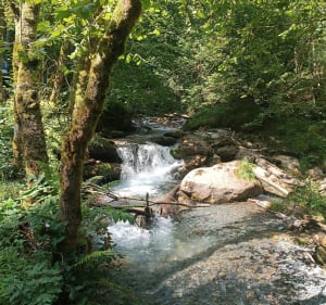 Cascade d'Arcouzan par la Vallée d'Estours - Seix - 5
