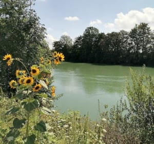 D'Epernay à Cumières au bord de l'eau - Épernay - 5