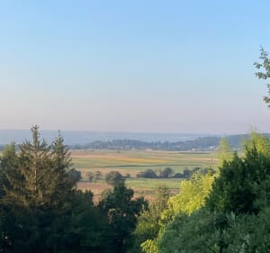 Entre plaine et forêt au départ de Faramans - Faramans - 3