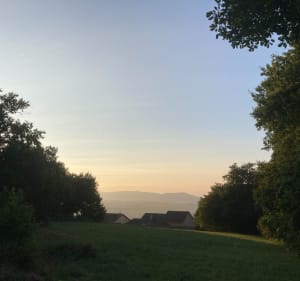 Entre plaine et forêt au départ de Faramans - Faramans - 4