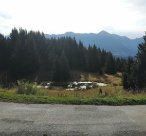 Tour du lac de la grande Léchere - Saint-François-Longchamp - 3