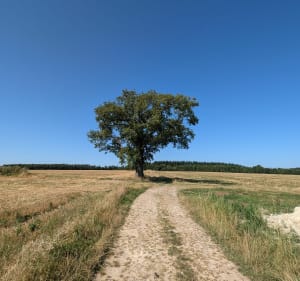 Autour de St-Martin-du-Vivier - Saint-Martin-du-Vivier - 5