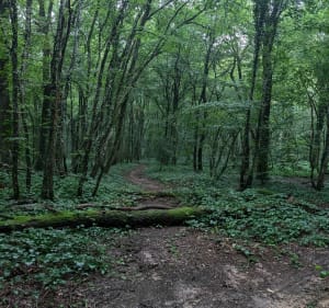 Randonnée Montgueux-Mesnil Vallon-Macey - Montgueux - 3