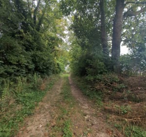 Randonnée Montgueux-Mesnil Vallon-Macey - Montgueux - 4