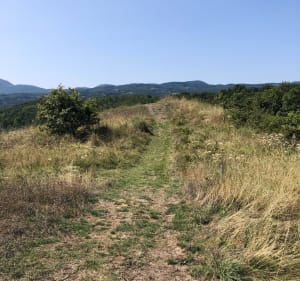Randonnée en VTT sur le plateau de Chanturgue - Clermont-Ferrand - 3