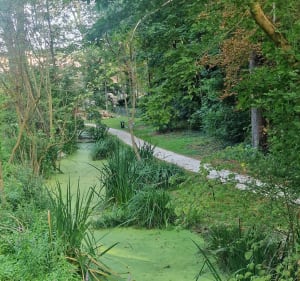 Boucle forestière autour de Yerres - Yerres - 4